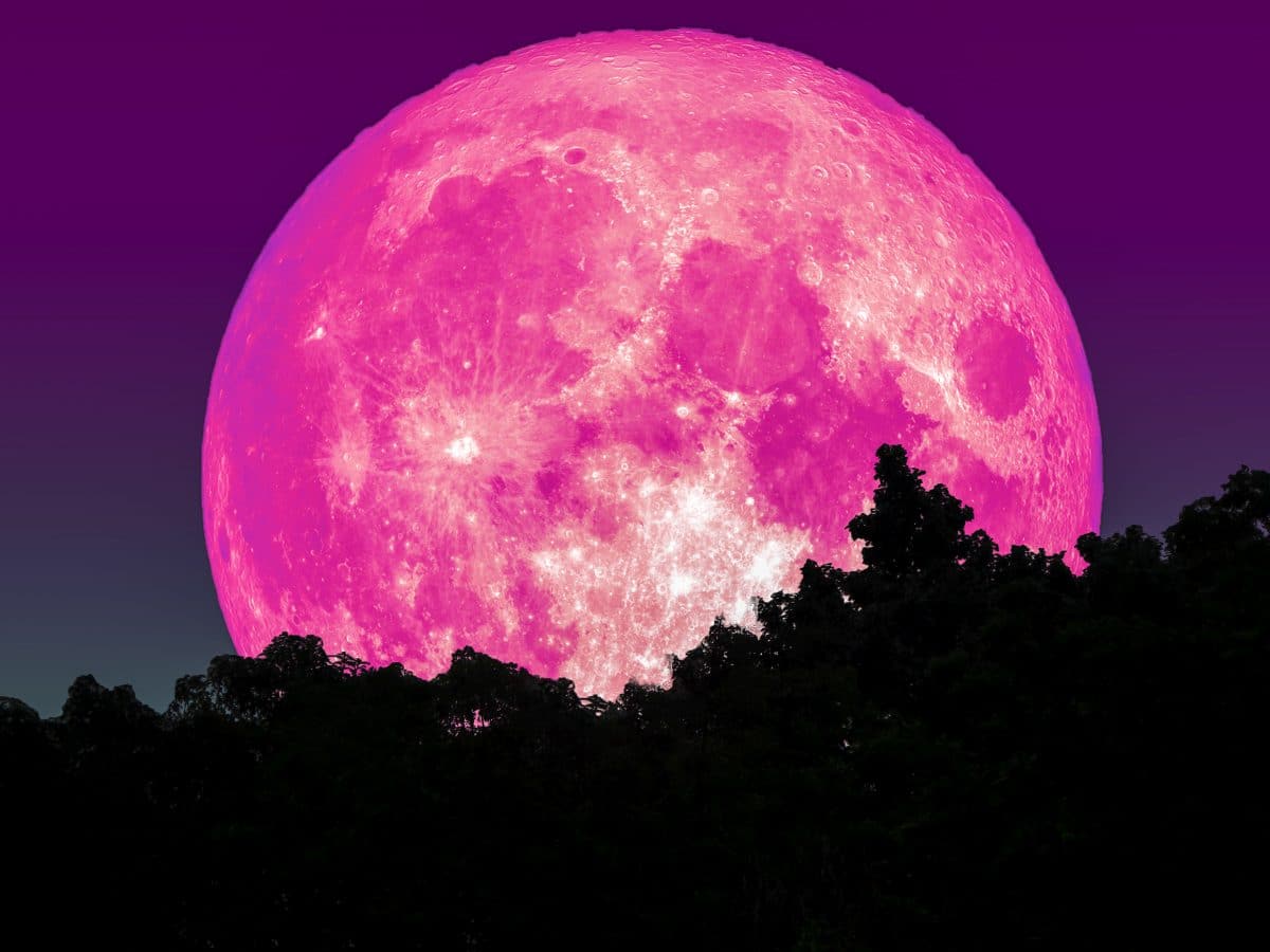 Hellster Supermond des Jahres: Pinker Vollmond im April Hellster Supermond des Jahres: Pinker Vollmond im April